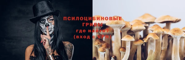 ALPHA-PVP Алексин
