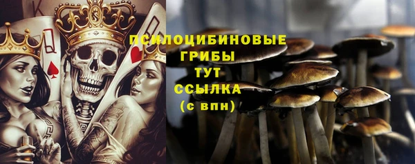 сатива Алексеевка