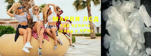 spice Алзамай