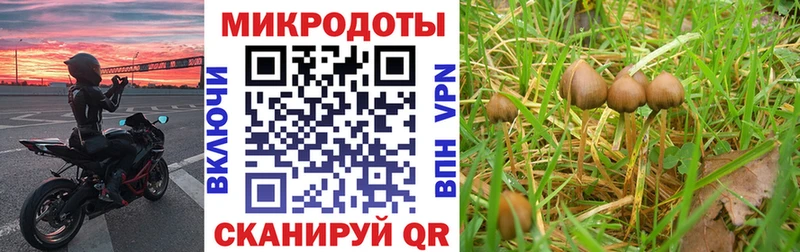 Галлюциногенные грибы мицелий  цены наркотик  blacksprut онион  Курлово 